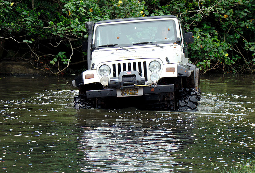 Wrangler