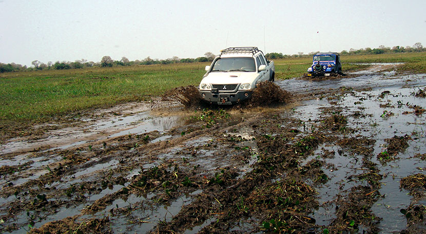 Pantanal