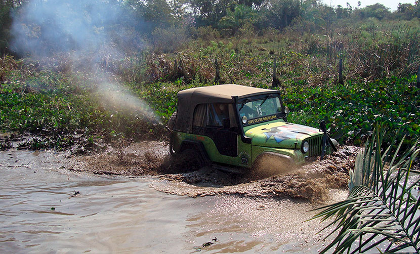 Pantanal