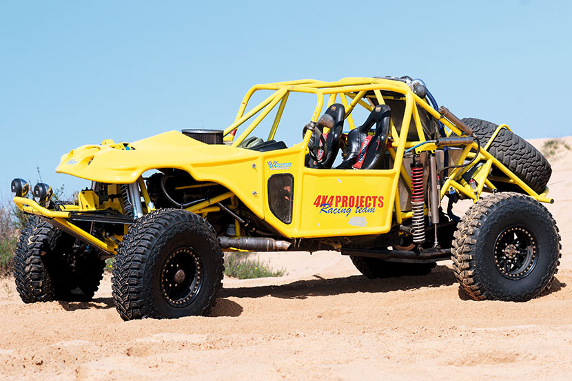 Desert Scorpion