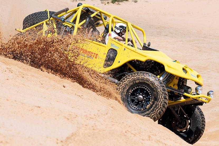 Desert Scorpion