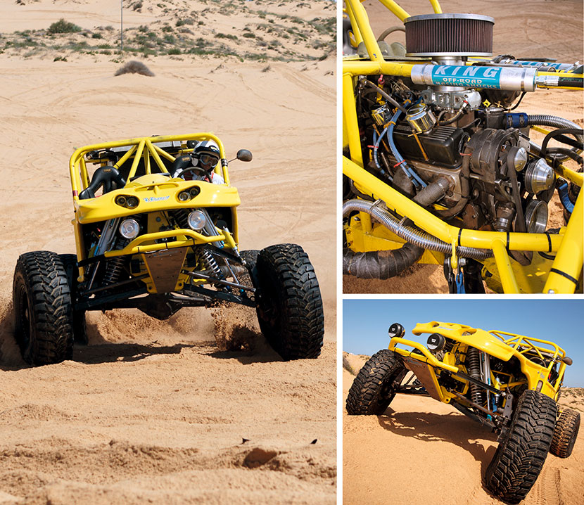 Desert Scorpion