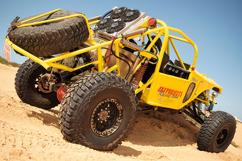 Desert Scorpion