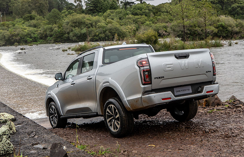 GWM Poer P30