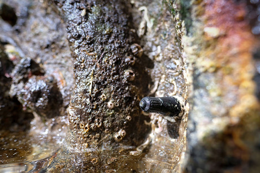 Land Rover enterrado