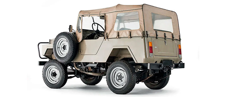CBT Javali