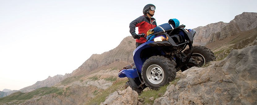 Grizzly 700