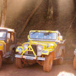 Jeeprofetas