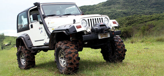 Wrangler