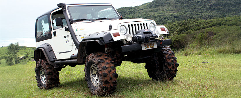 Wrangler