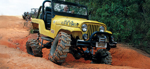 CJ Spider