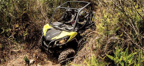 Maverick Trail