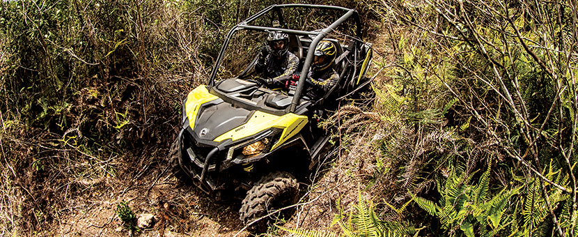 Maverick Trail