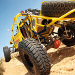 Desert Scorpion