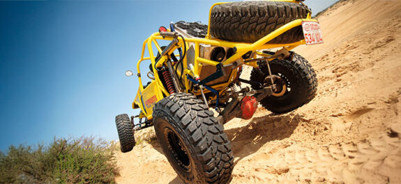 Desert Scorpion