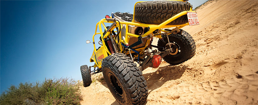 Desert Scorpion