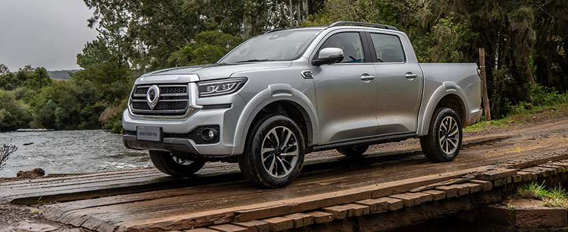 GWM Poer P30